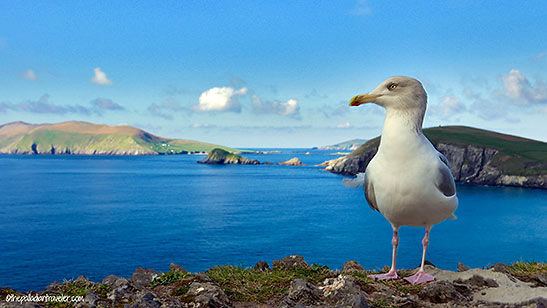 Dingle Peninsula view