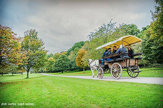 ride through Killarney National Park