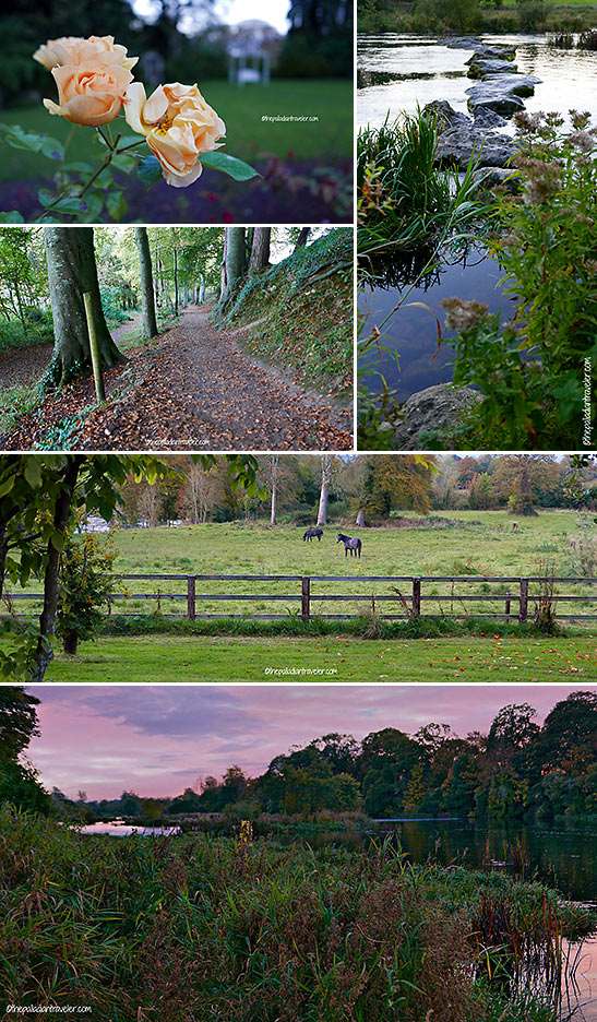 Castle Oaks grounds and the Shannon River