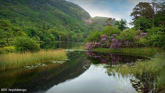 the River Cong