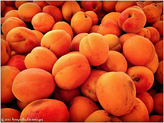 apricots at an open air market, Place Abel Surchamp, Libourne