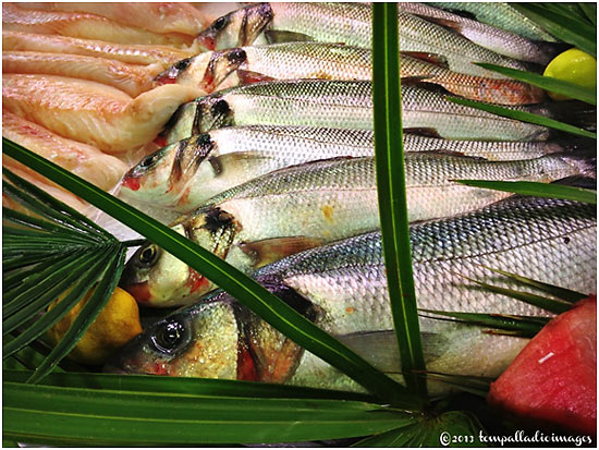 fish at a an indoor fresh food market near the main square of Libourne