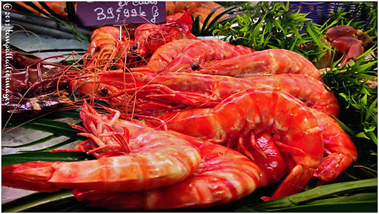 shrimps at the fresh food market of Libourne
