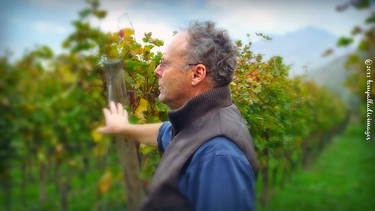 co-owner Marco Pisoni conducting a tour of the Azienda Agricola Fratelli Pisoni