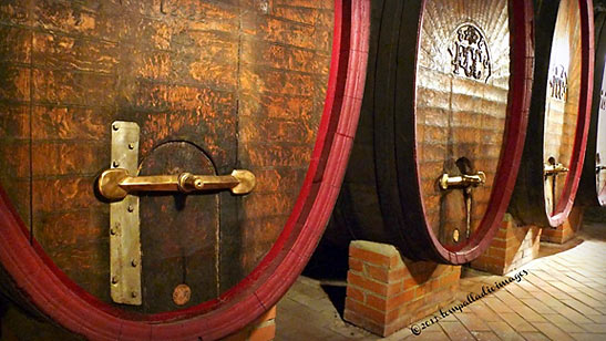 wine cellar at the Fratelli Pisoni Winery