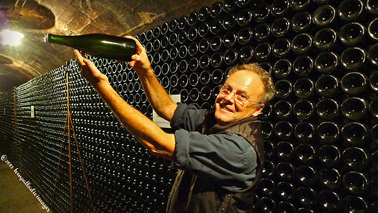 Marco Pisoni at the Fratelli Pisoni Organic Winery cellar