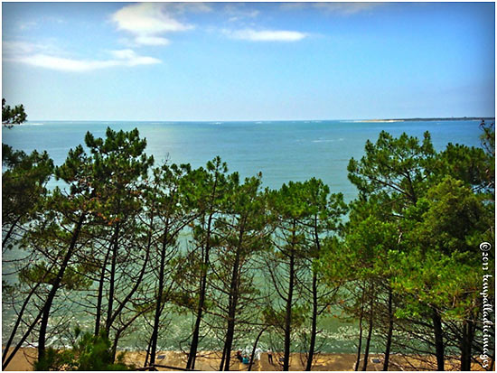 view of the Atlantic from the Pyla-sue-Mer resort with pine trees in the foreground
