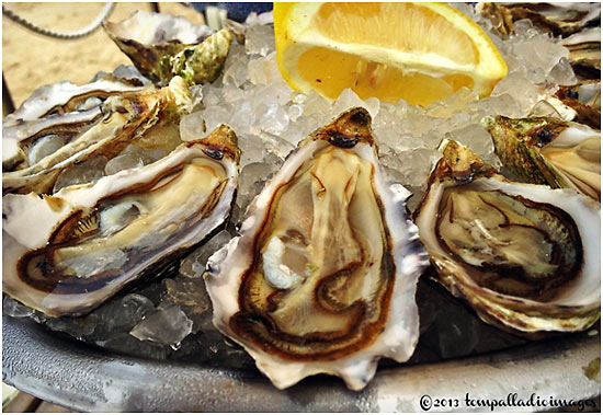 oysters at the restaurant of the La Co(o)rniche Hotel