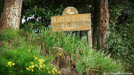 signboard at the Ragani Olive Mill