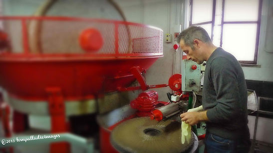 Emanuele Ragani demonstrates processing of olive oil