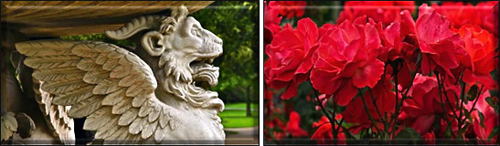 left: winged lion figure at the English Garden; right: red tea rose, The Regent's Park, London