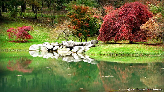 rocks on a pond somewhere in the Trentino Alto Adige, Italy