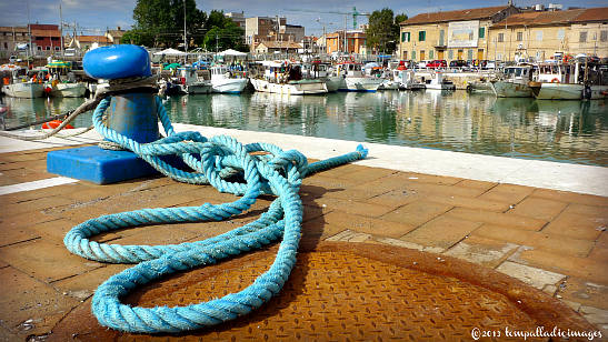 moored leisure craft at the port of Senigallia