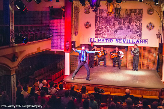 flamenco show at the El Patio Sevillano