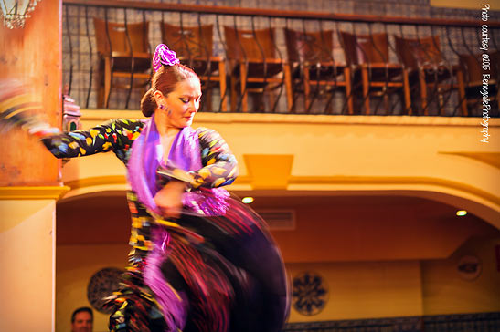 lady flamenco dancer performing at the El Patio Sevillano