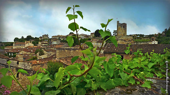 Saint-Emilion, Gironde, southwestern France