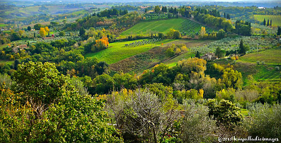 country scene around San Gimigniano, Tuscany
