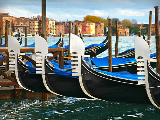 row of gondolas by the Grand Canal, Venice