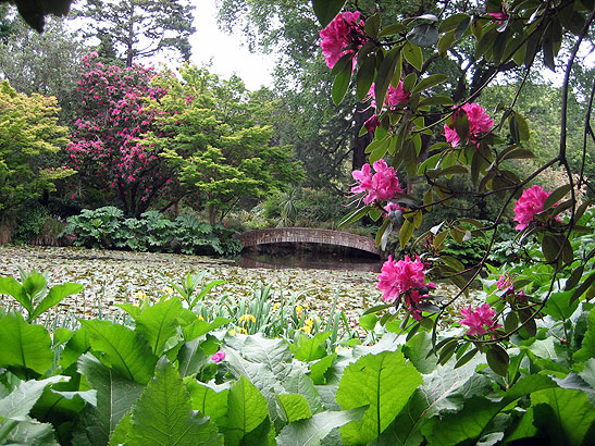 various plants at the Christchurch Botanical Gardens, Christchurch, New Zealand