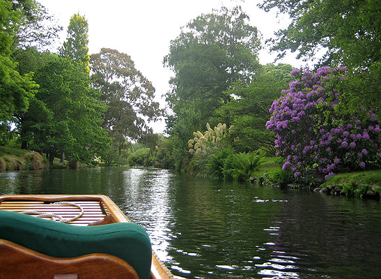 view of the Avon River from a boat, Christchurch