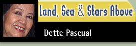 Dette Pascual's travel blog